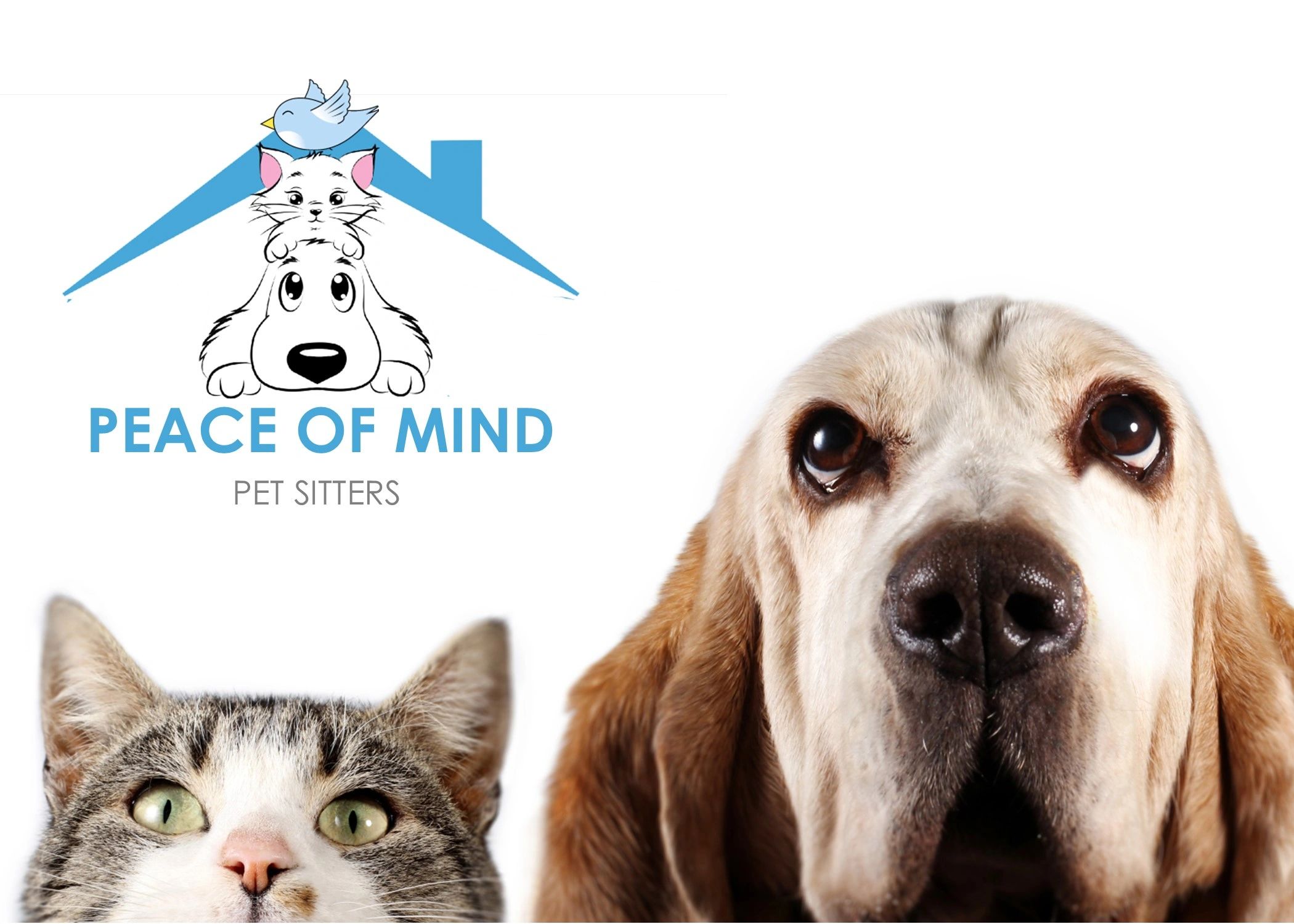 Peace of Mind Pet Sitters